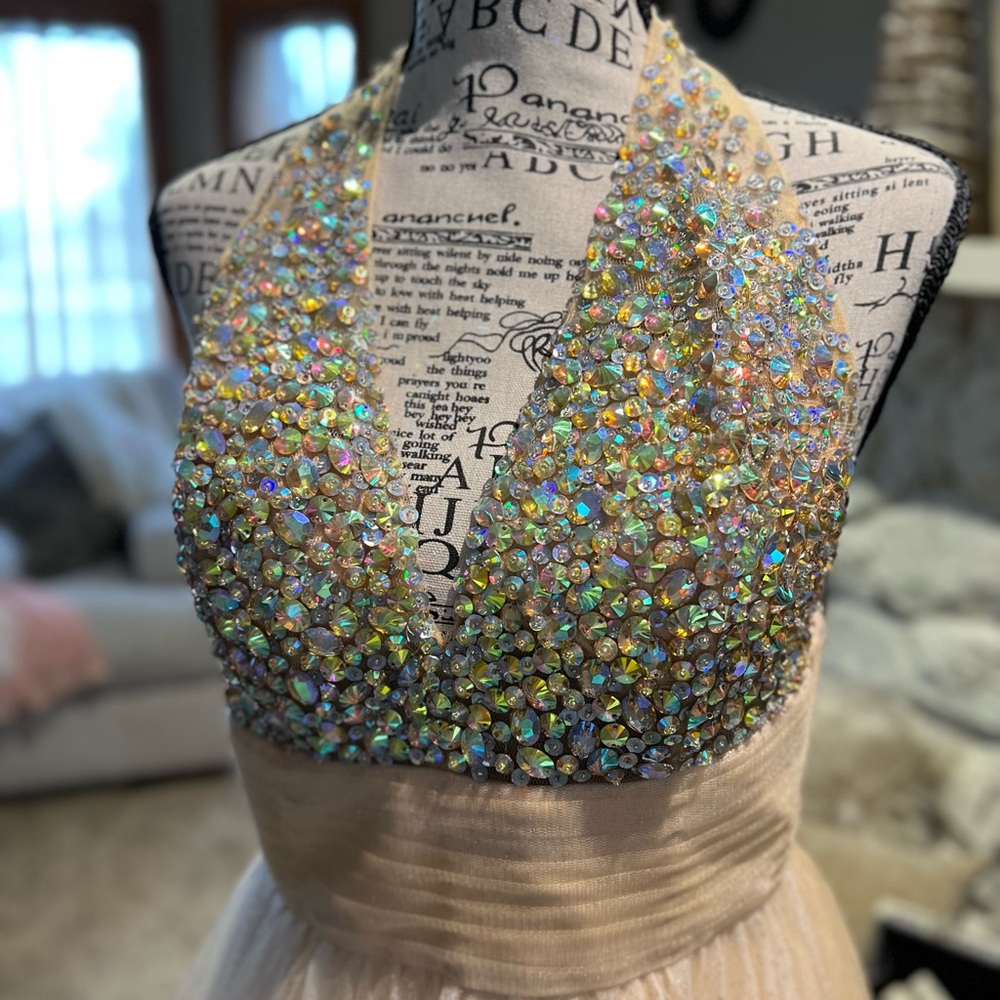 Tiffany Designs Silver and Cream Embellished Bustier Gown